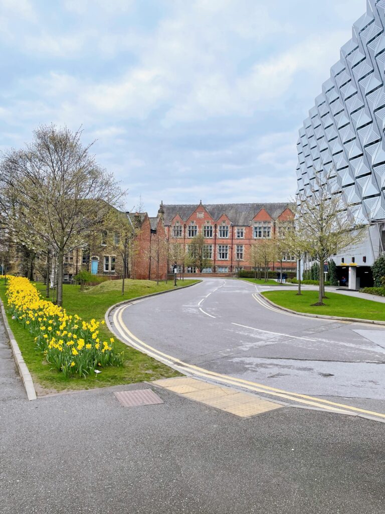 Home Scenic view of a winding campus path lined with daffodils in Leeds, England, featuring modern and historical architecture.
