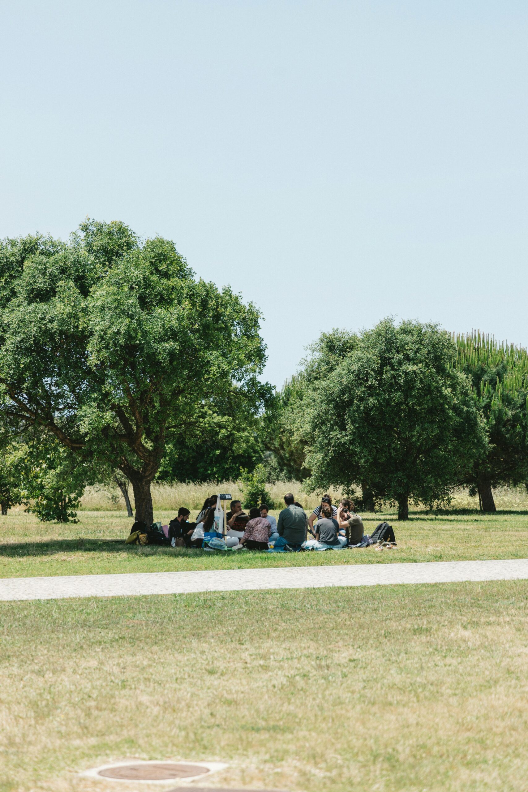 The Art of Drawing Readers In: Your attractive post title goes here A serene outdoor gathering of adults under trees in a Portuguese park on a sunny day.